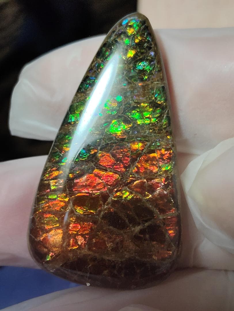 アンモライト・ルース　24-1411 45000