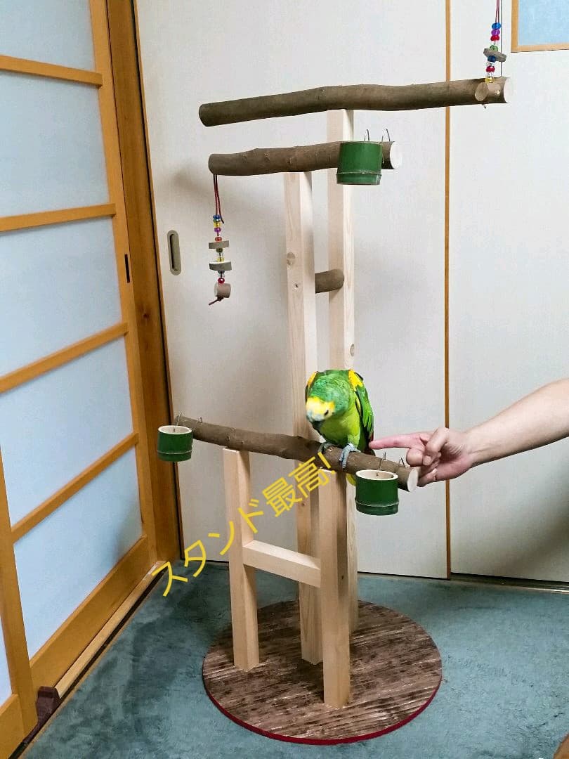 オウムスタンド&インコスタンド&止まり木