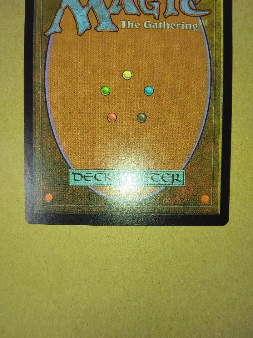 ヤヴィマヤの沿岸 Yavimaya Coast 英語 Foil APC MTG