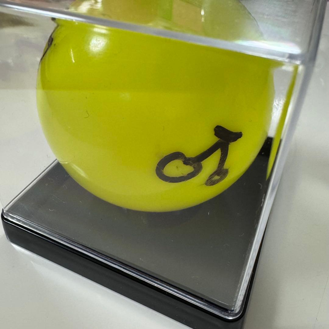 IVE イソ　サインボール　ive scout