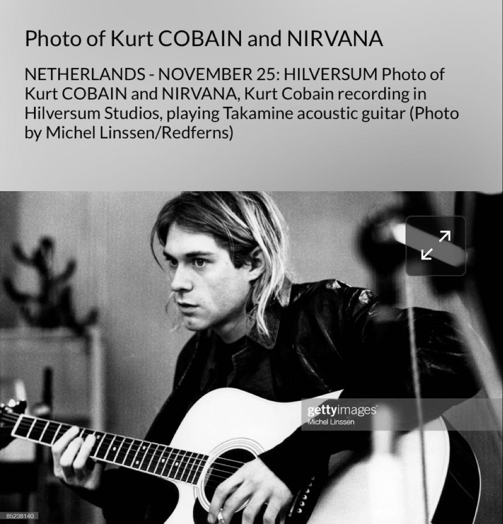 ミュージシャン Nirvana  Cobain vintage T-shirts