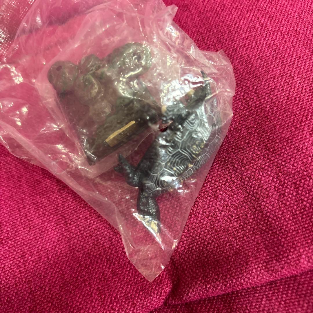 ネイチャーテクニカラー　日本のカメ　初版　スッポン　クサガメ　未開封！