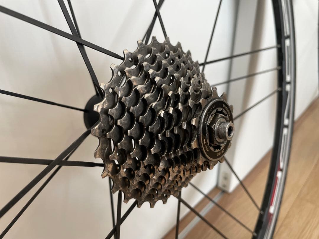 Campagnolo (カンパニョーロ) ZONDA (ゾンダ) C15