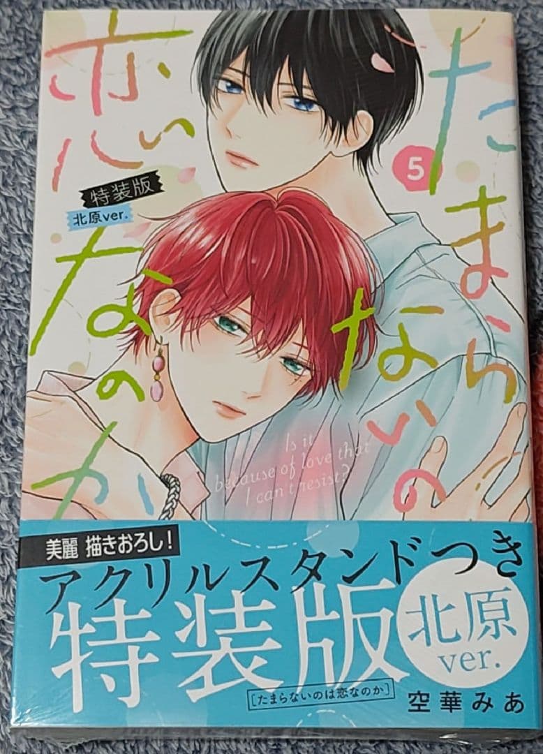 たまらないのは恋なのか　平野と鍵浦　世界一初恋　中村春菊　春園しょう　空華みあ他
