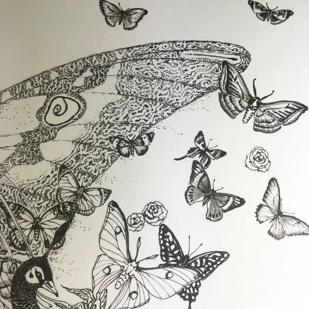 始祖蝶　Ancester’s Butterfly 【肉筆絵画】