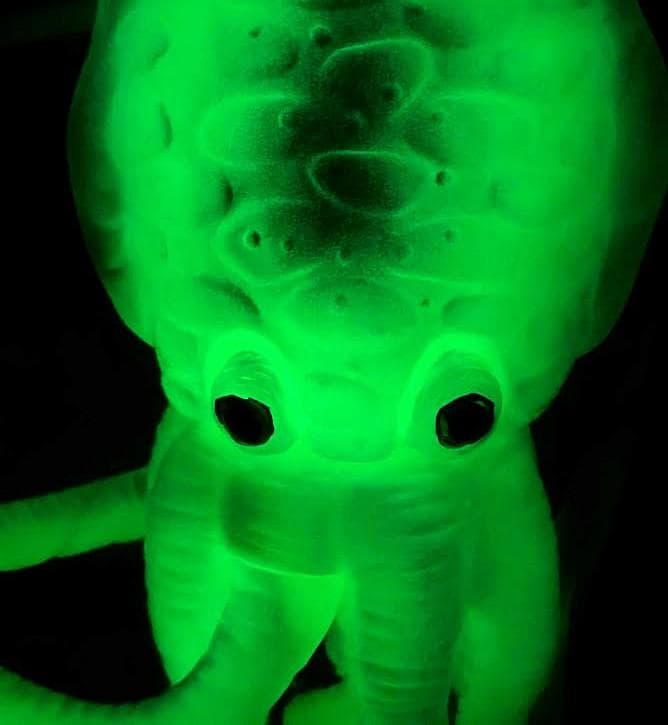 ゲゾラ 蓄光版「決戦！南海の大怪獣」登場怪獣（マルサン）未開封ソフビフィギュア