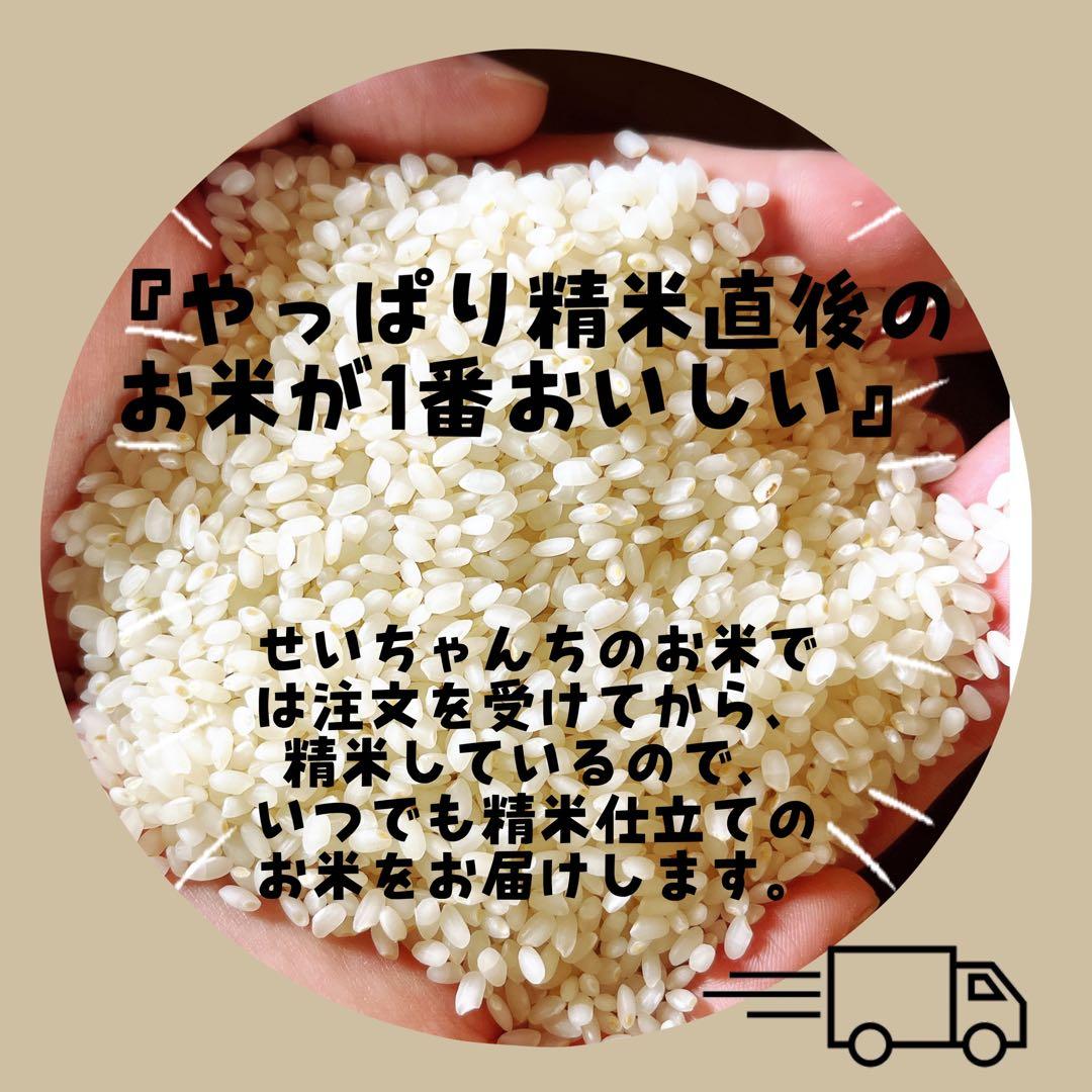 【令和7年度新米】近江米 ミルキークイーン 5kg +にじのきらめき 5kg