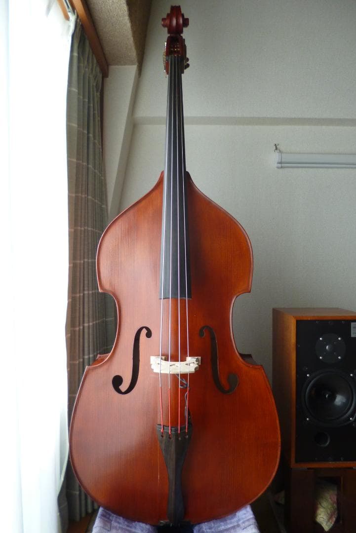 【直接手渡限定】GLIGA コントラバス GemsⅡ 2021製 Size3/4
