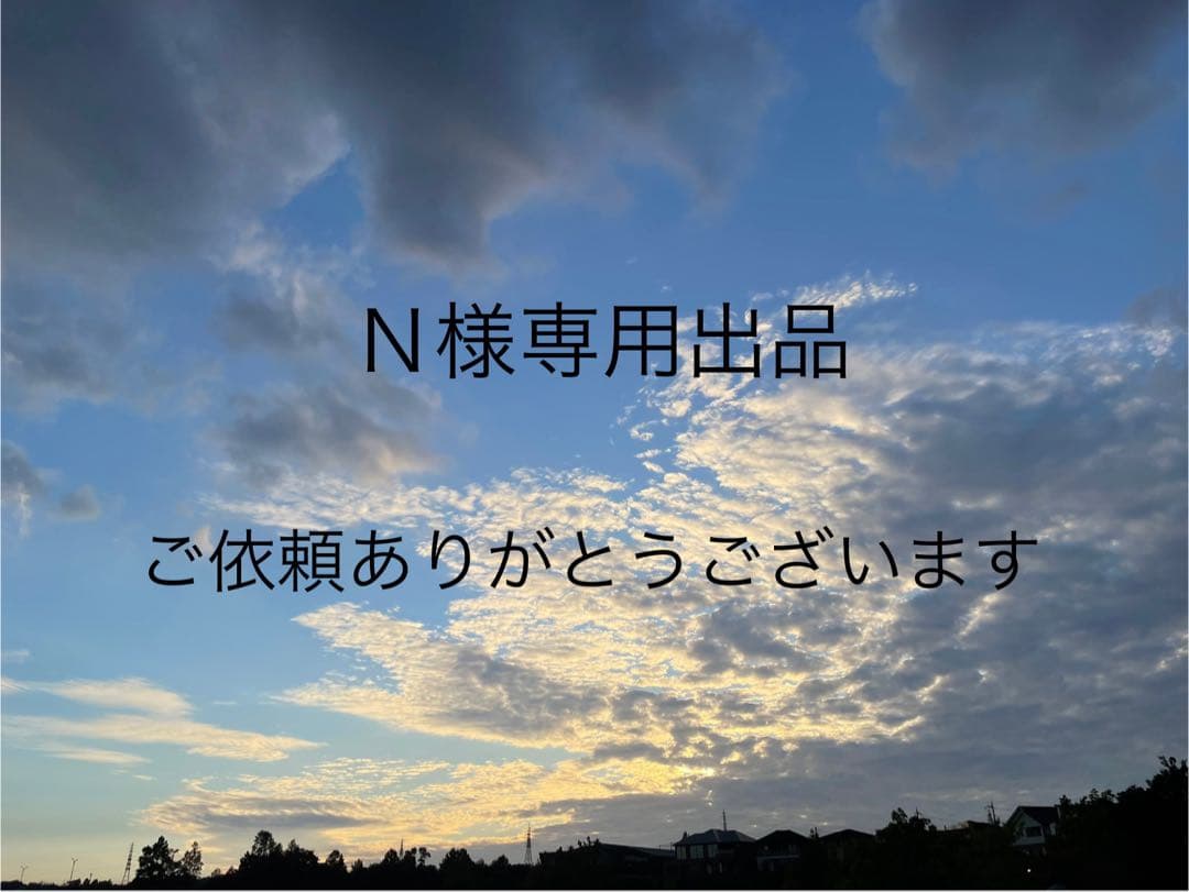 Ｎ出品