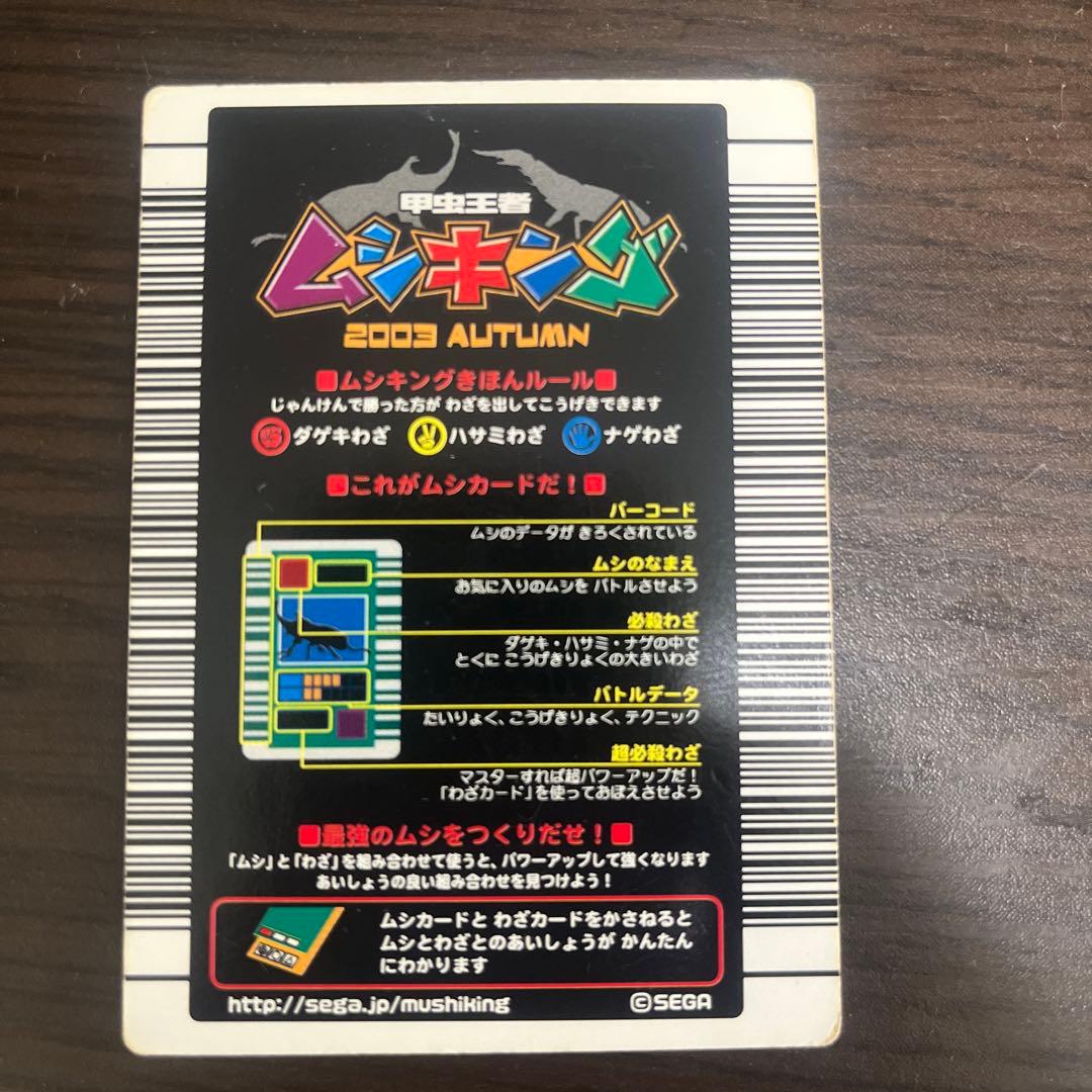 甲虫王者ムシキング　ヒラタクワガタ