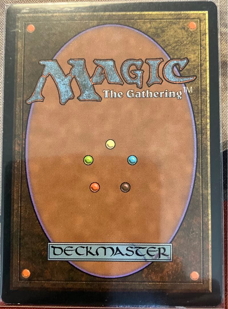 親身の教示者/Personal Tutor 仏一枚