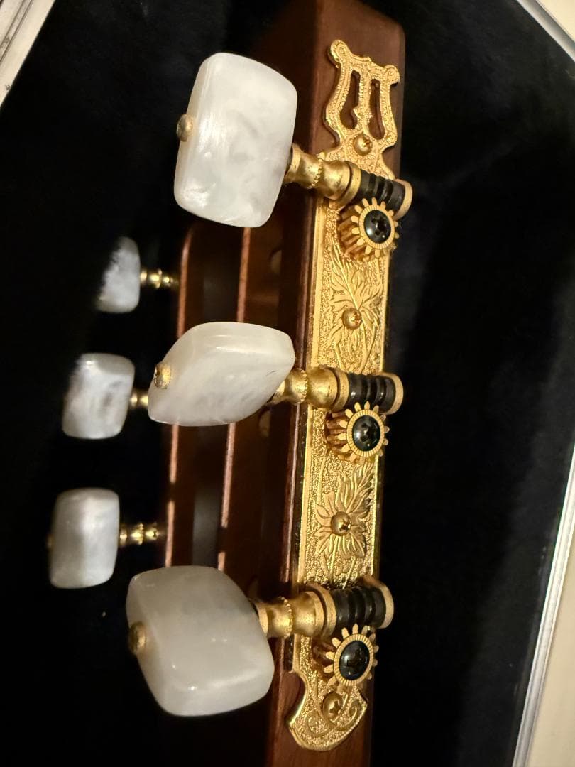 値上がり必至のハワイアンコア！Takamine PT-406 極上コンディション