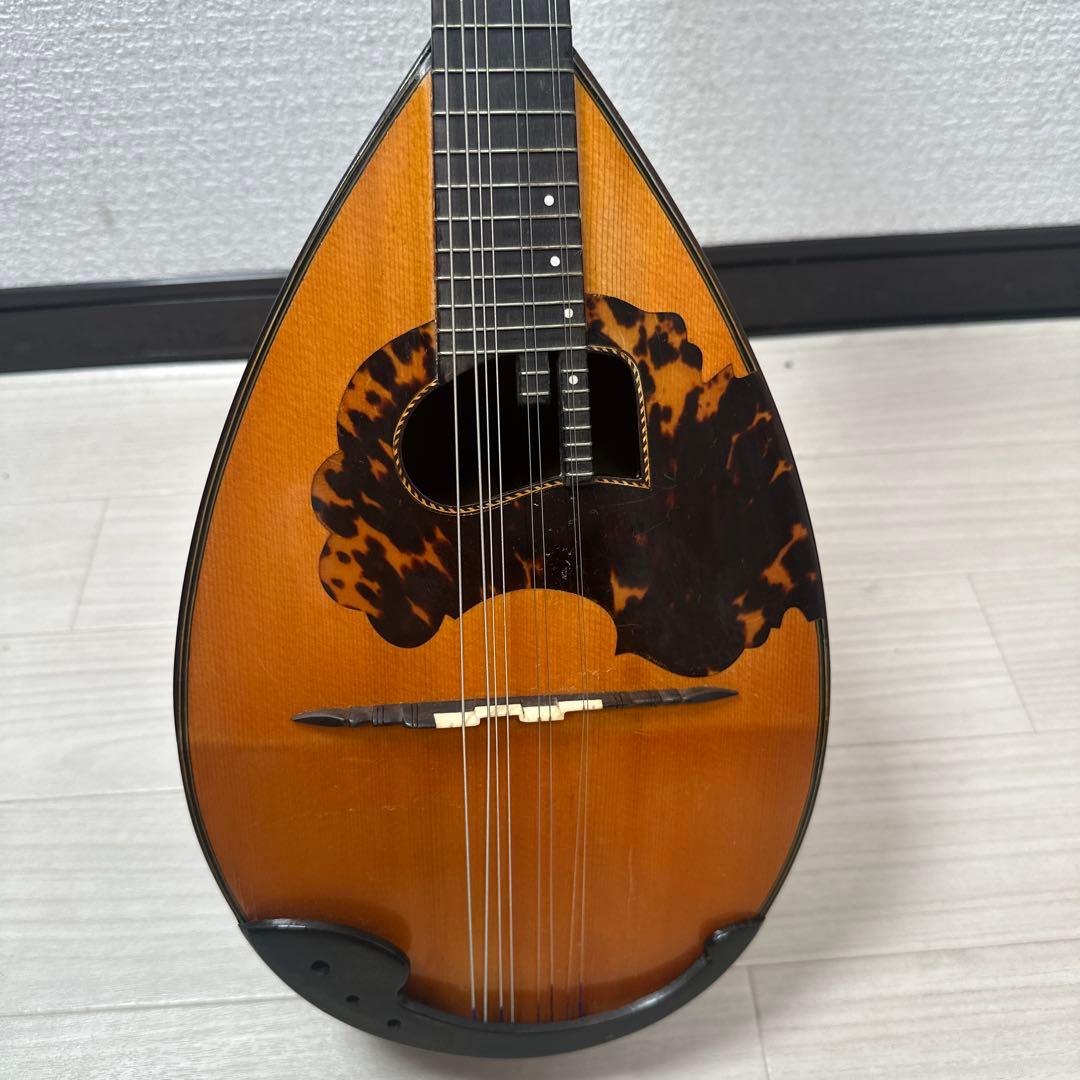 S. Watanabe No.50 Anno1971 渡辺精次 鼈甲多 ※31※