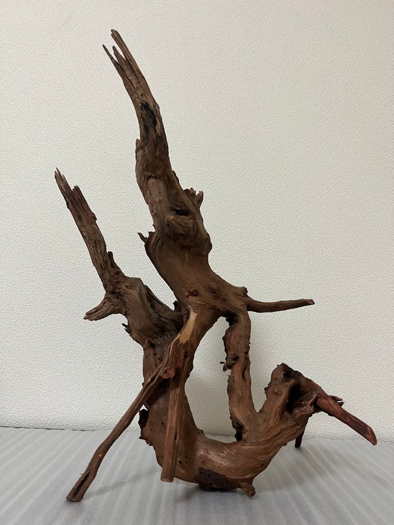 HX-076流木　ホーンウッド　マシンガンウッド　アクアリウム　ブランチウッド