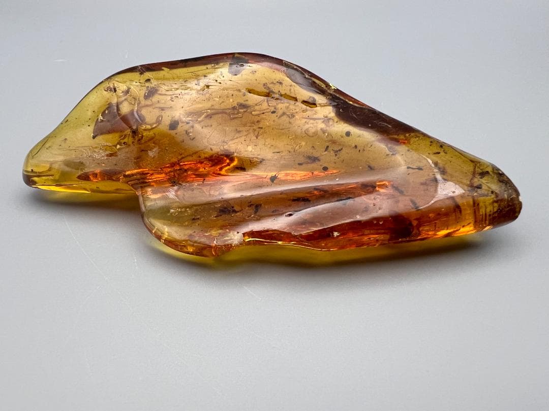 虫入り琥珀　蚊　蟻　多種多様な虫を大量内包　バルティックアンバー　バルト海沿岸