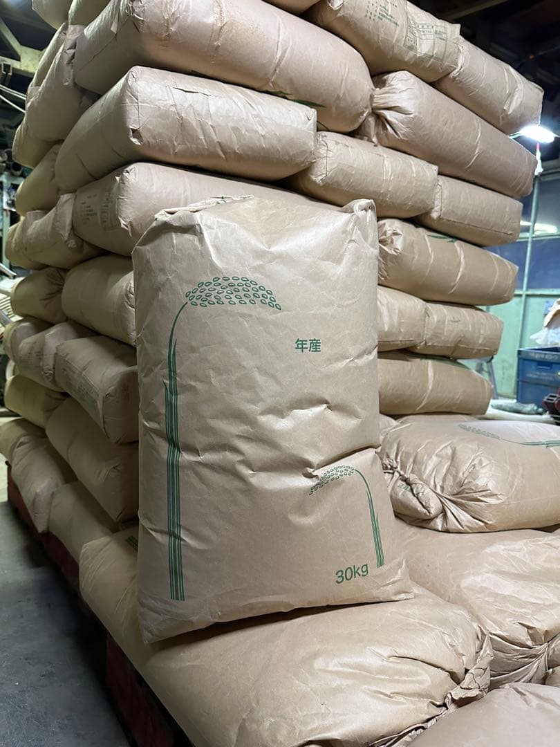 令和7年産　玄米10キロ 彩のきずな　一等米　埼玉県熊谷産　専業農家　白米も可能