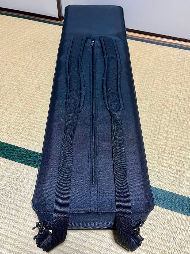 津軽三味線 段違い二本溝 トチ有 本鼈甲撥 軽量ハードケース付き 皮破れ無し