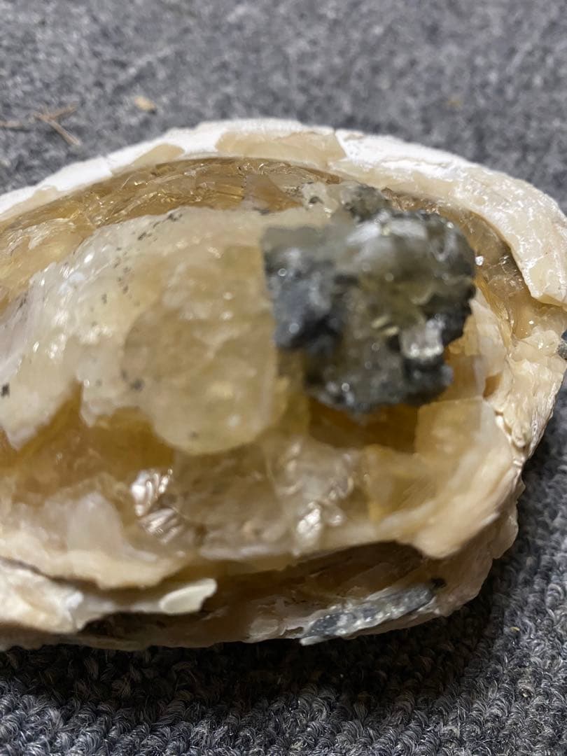 中身が結晶化した貝の化石