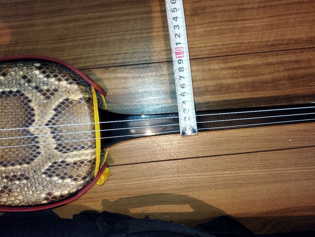 沖縄三線 本皮 蛇皮 ケース付き　 　298