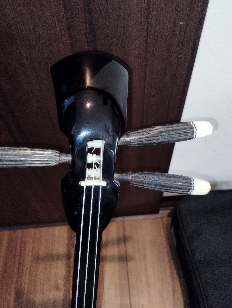 沖縄三線 本皮 蛇皮 ケース付き　 　298