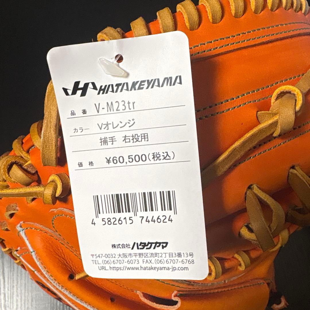 ハタケヤマ 硬式ミット