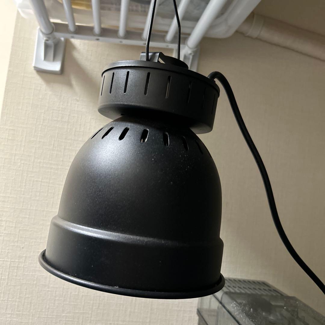 ZOOMED POWERSUN H.I.D. 70W ソケット