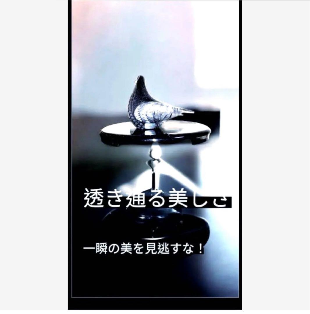 【希少・王室御用達】Marcolin マルコリン ガラスオブジェ 鳥