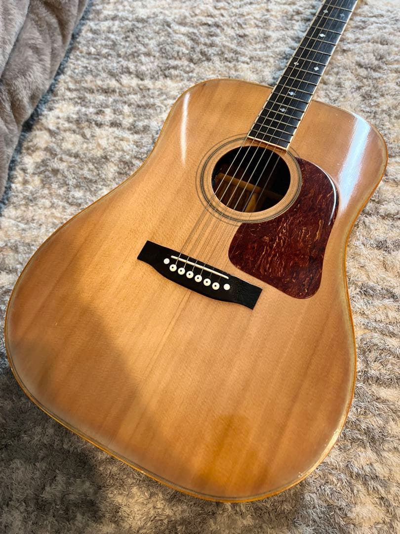 松岡良治　GR-50 エレアコ仕様