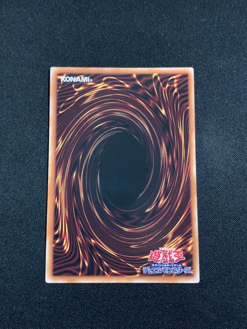 【最安値】　白銀の城のラビュリンス プリシク