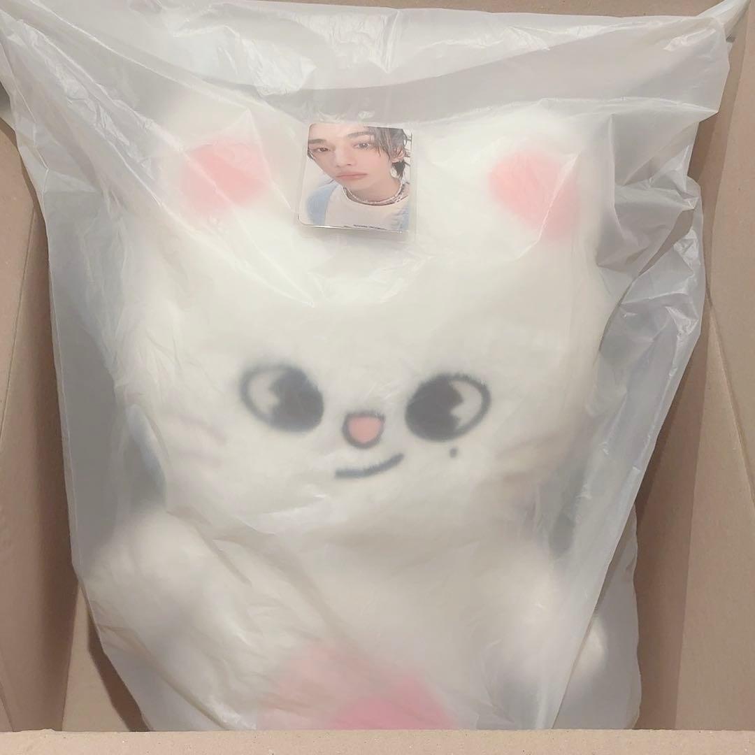 【新品未開封】StrayKids SKZOO ジニレット　テディベア