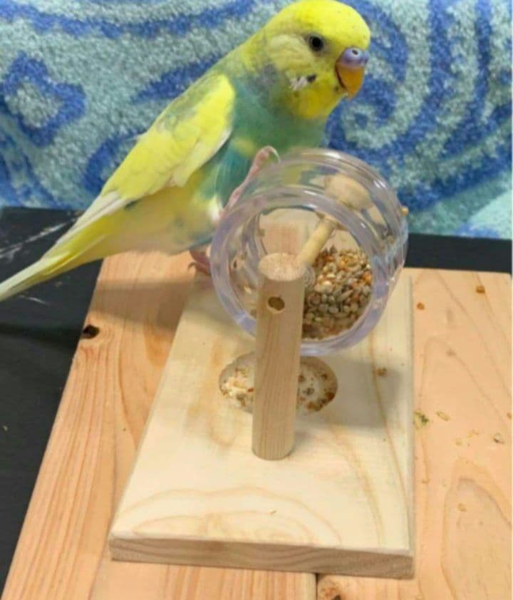くるくる3点、吊り下げフォージングトイ色々セット　バードトイ　インコ