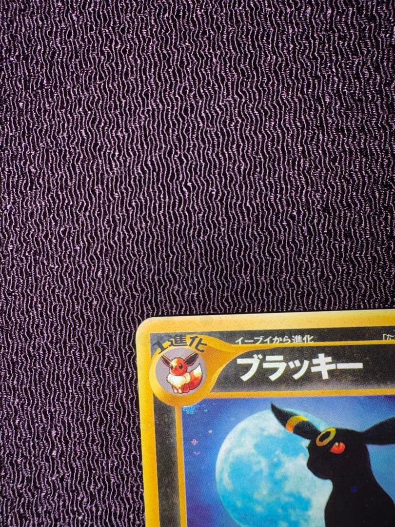 【旧裏美品渦巻き】ブラッキー★ 遺跡をこえて…