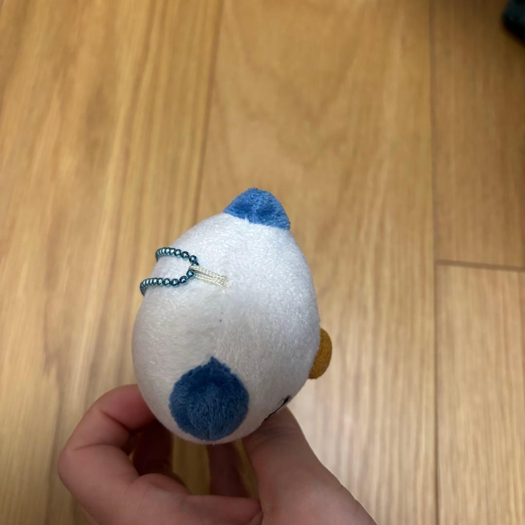 ミジュマルマスコット　タイプフォーカス