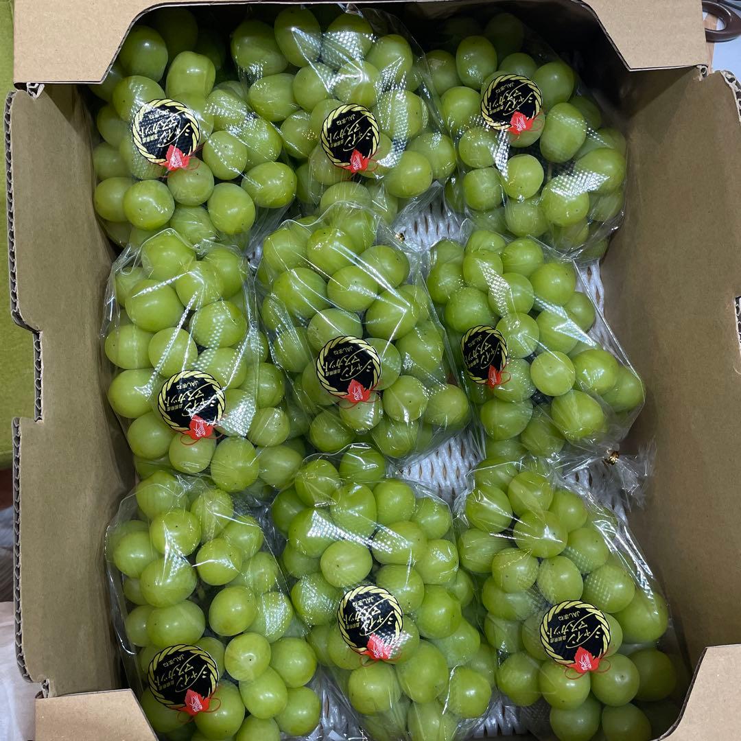 11【島根県産】シャインマスカット約5キロ