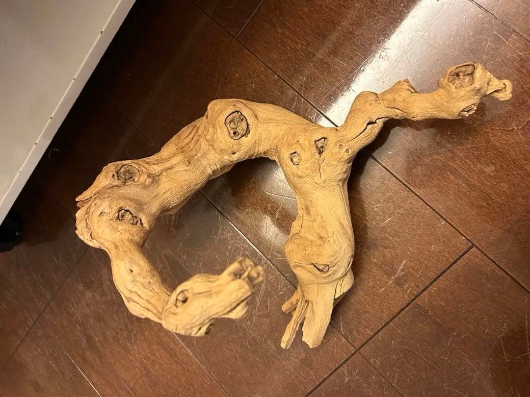 温室・飼育ケース kuroganeotome