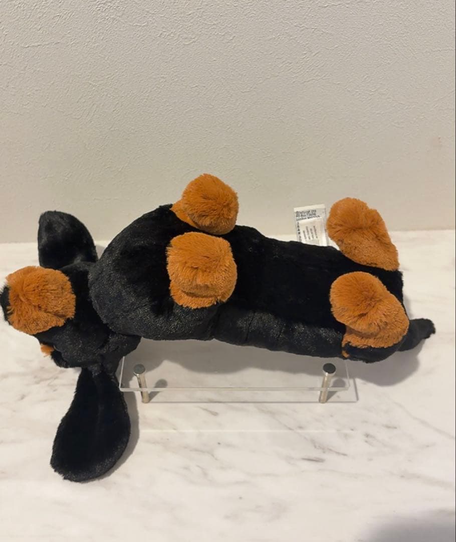  Freddie Sausage Dog ダックスフンド　犬