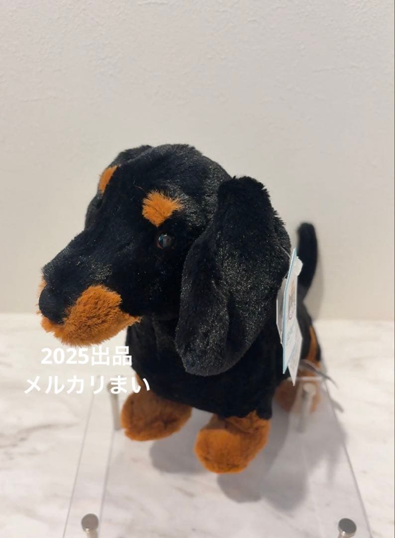  Freddie Sausage Dog ダックスフンド　犬