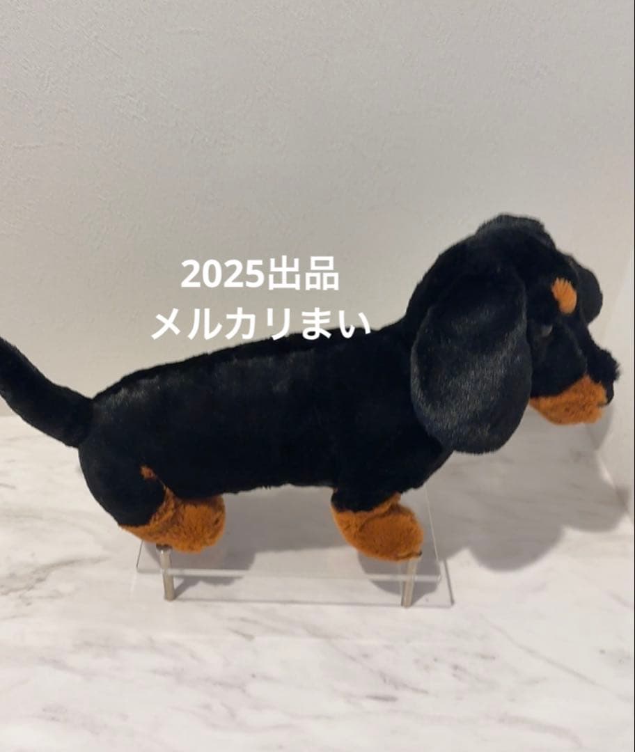  Freddie Sausage Dog ダックスフンド　犬