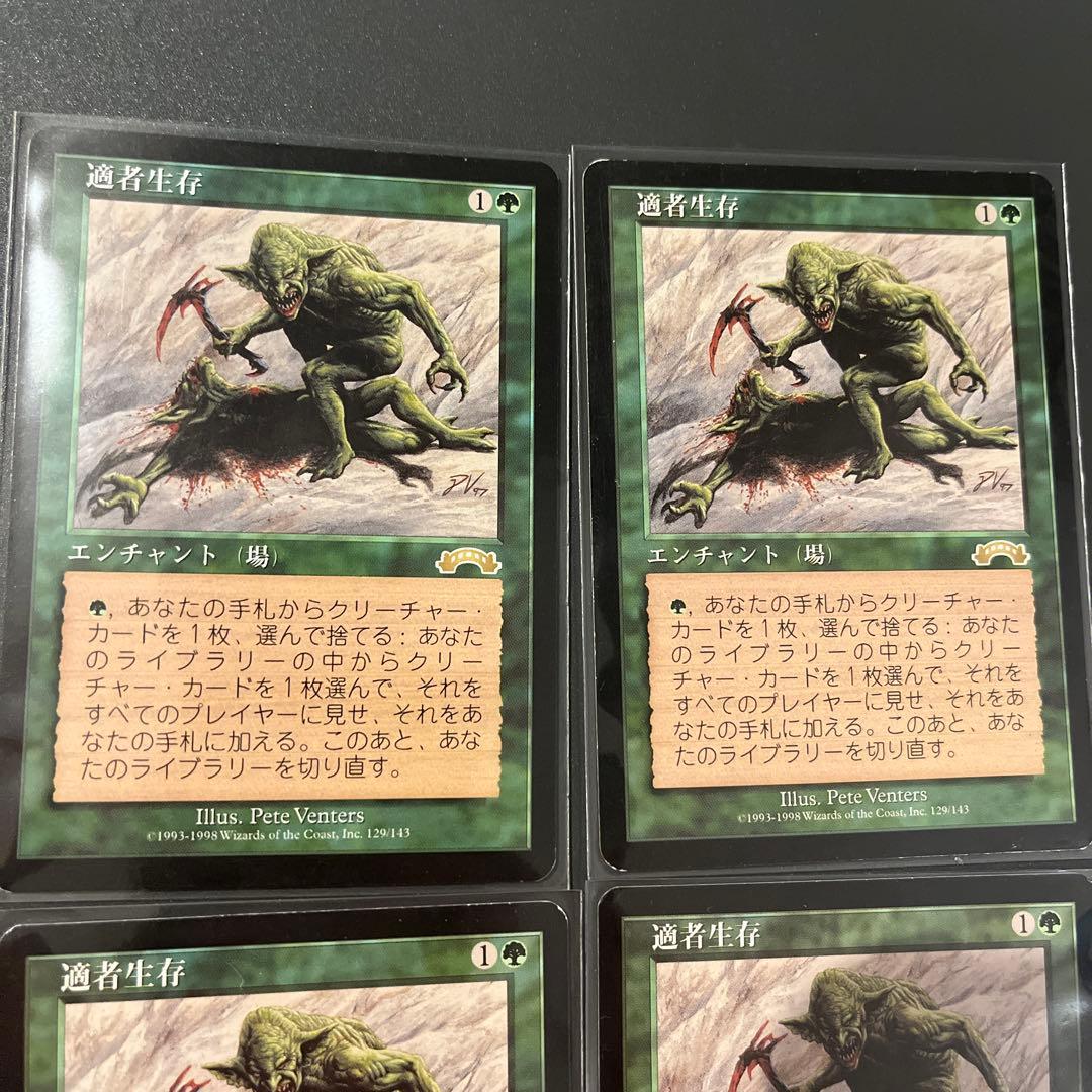 適者生存 4枚セット 日本語