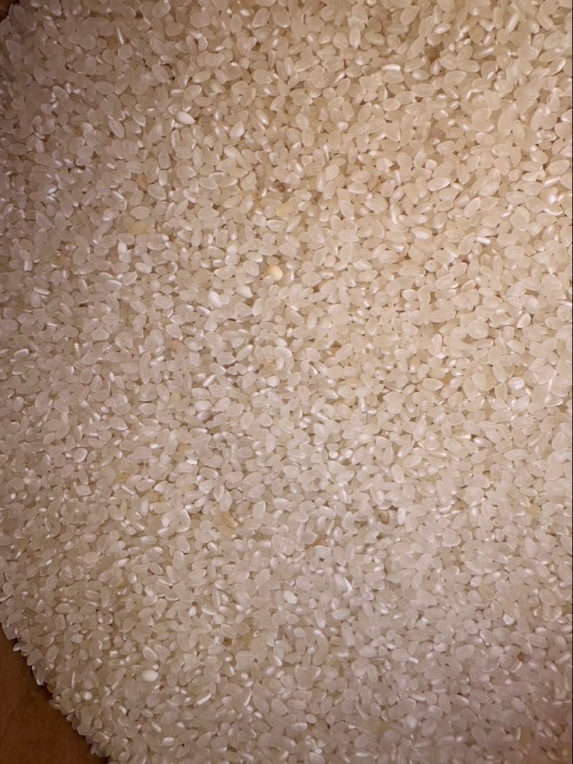 限定１袋　訳あり　無洗米　34kg お米　米　ご飯