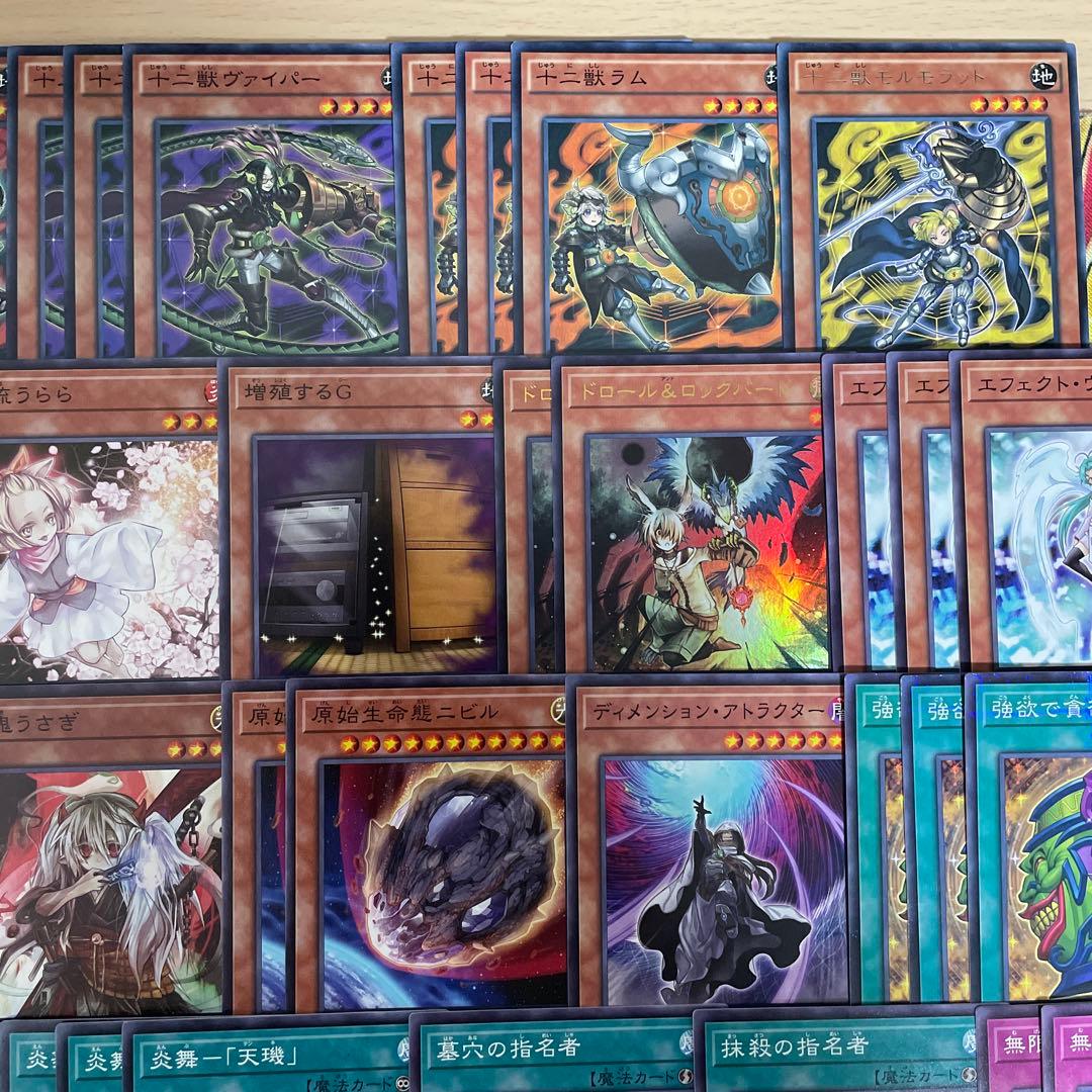 大会優勝構築 十二獣デッキ ドランシア サラブレード 天霆號アーゼウス ライカ