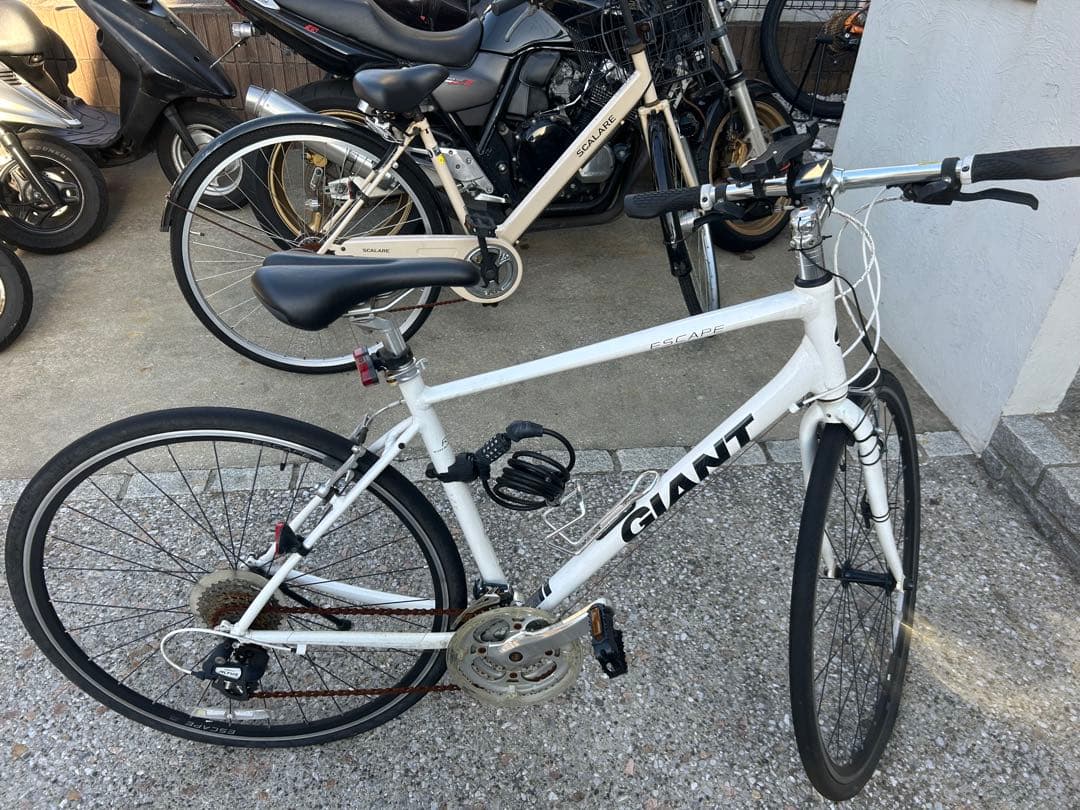 GIANT クロスバイク 7段変速 ホワイトR3Mサイズ