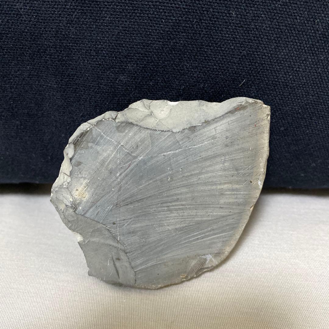 本物　美品　アンモナイト化石 手のひらサイズ