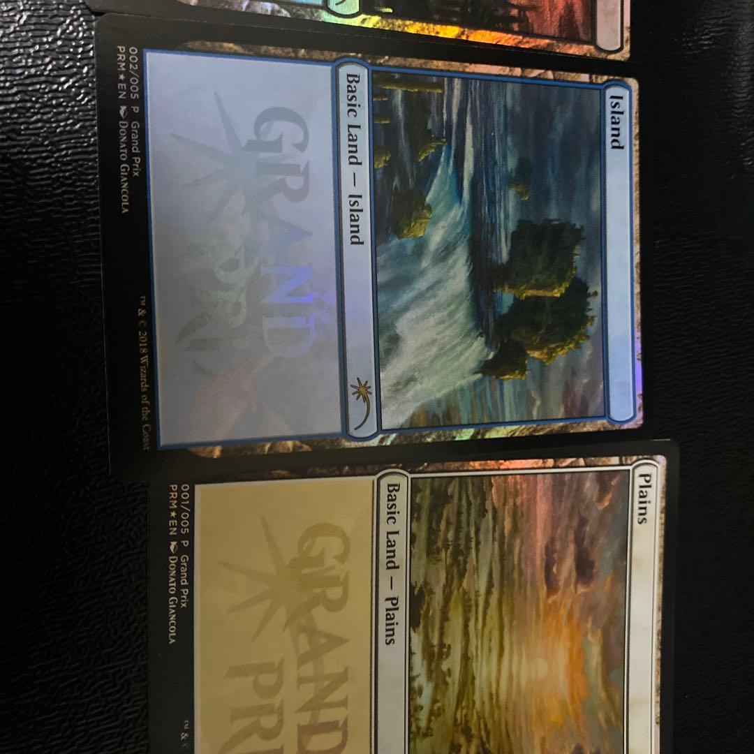 MTG 2018年GPプロモ基本土地FOIL5枚。　5セット