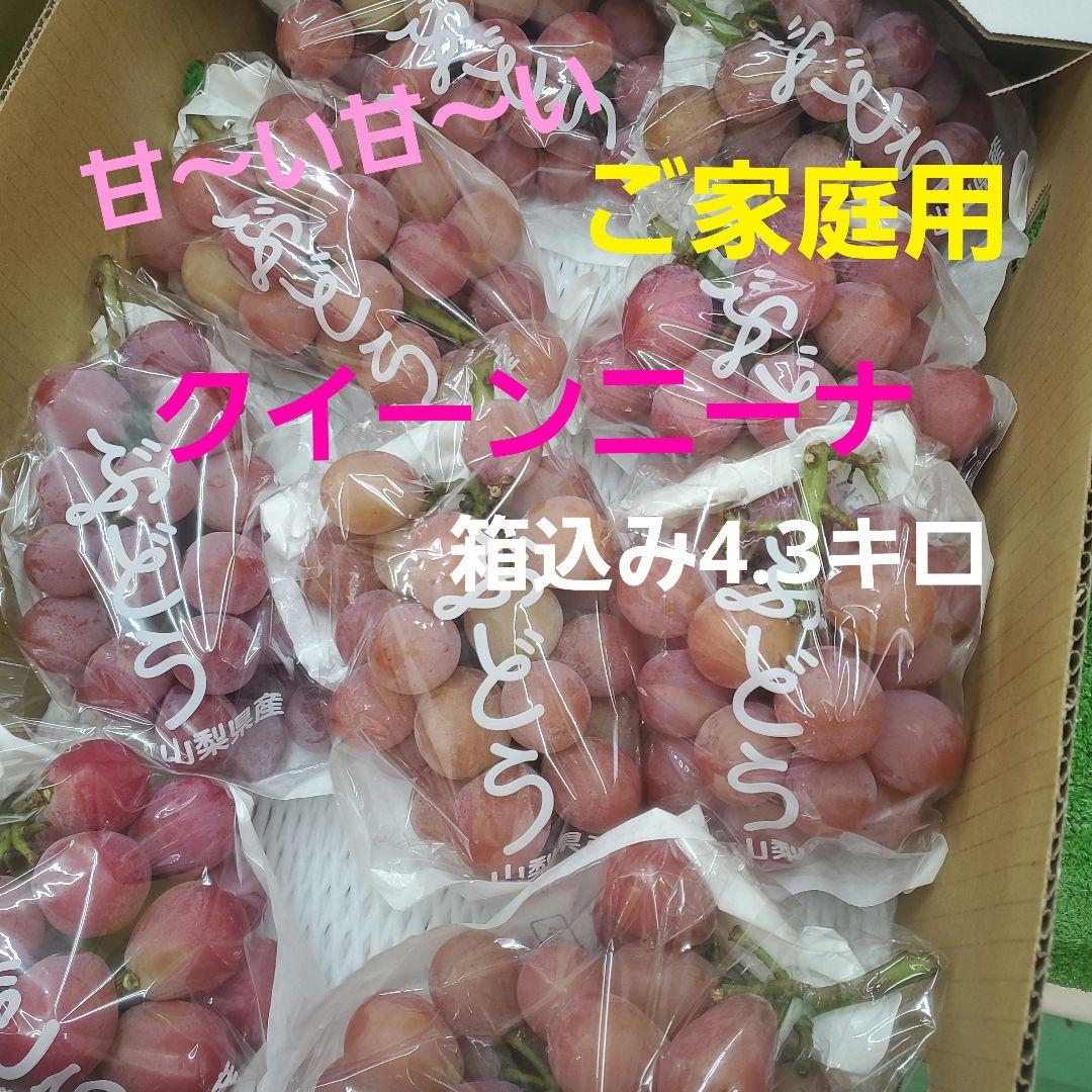 2️⃣ 山梨県産 クイーンニーナ ９房 箱込み4.3キロ