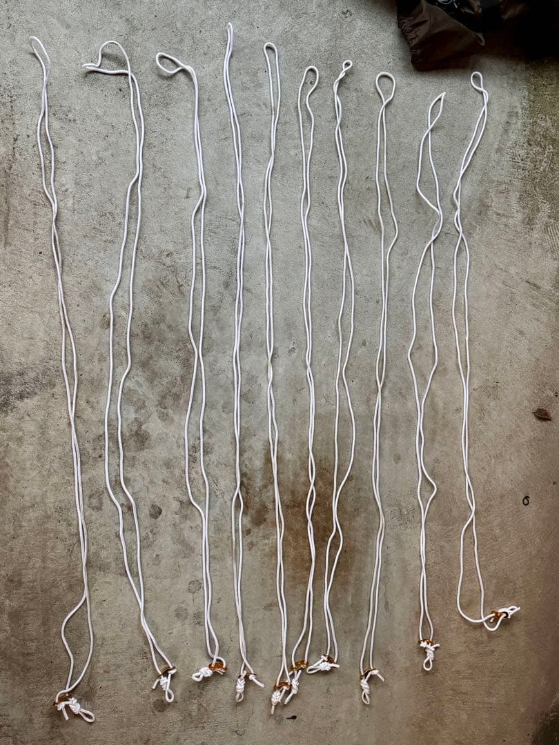 オガワ　アポロンogawa apollon インナーテント付