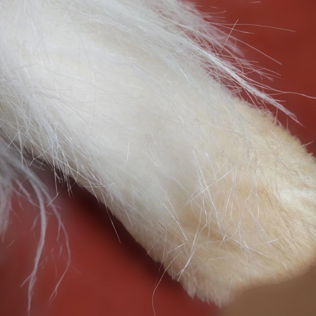 三英　ペルシャ猫　グレイスフル　長毛　日本製アクリル使用　70センチくらい　廃番