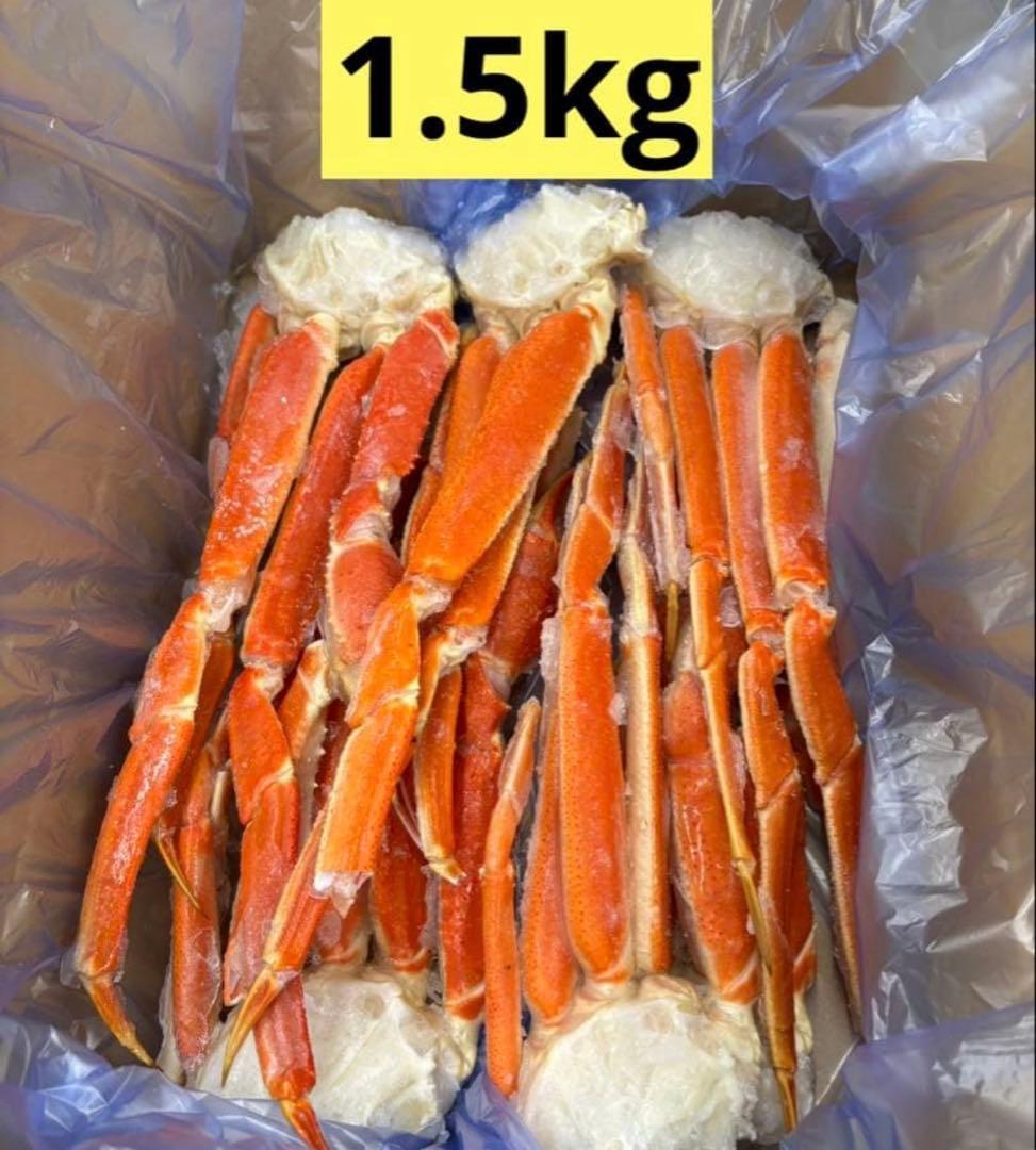 【完売間近‼️】年内発送30日まで/ラスト！本ズワイガニ　1.5kg