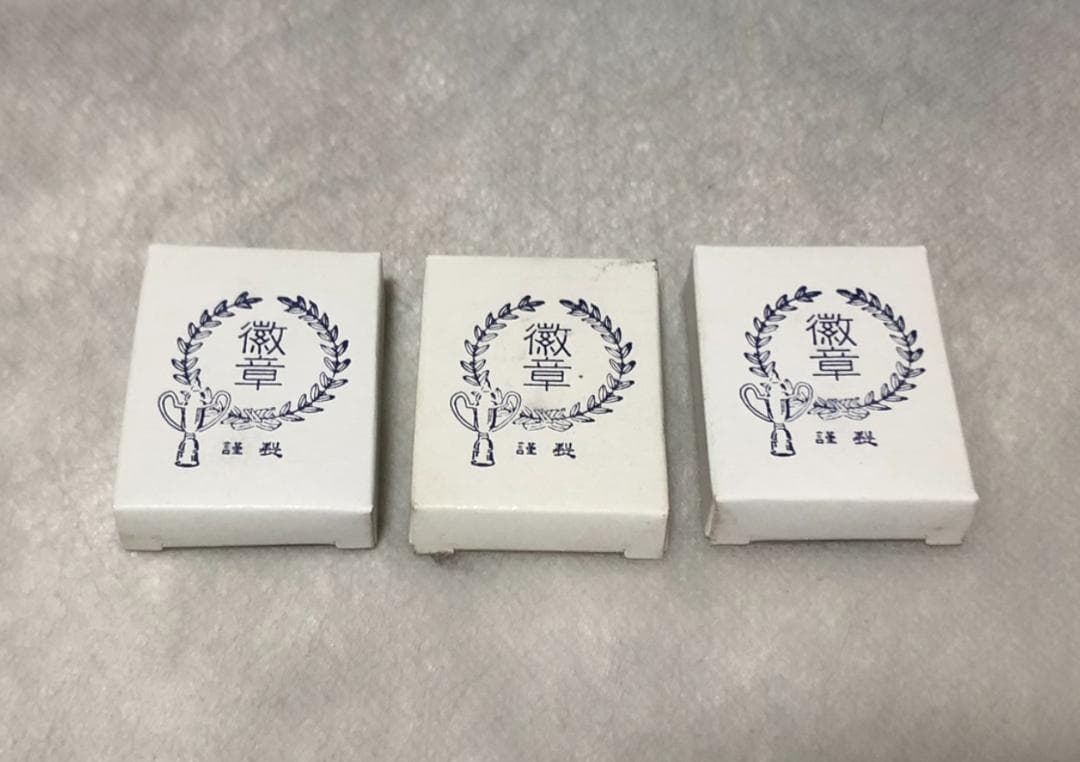 （サボテンダー）【まとめて6個】 JR東日本 襟章 徽章 社章 針タイプ