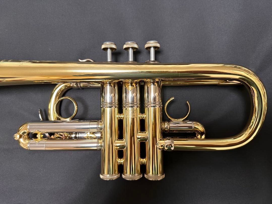 V.BachアルティザンE♭管 AE190GL 長谷川智之氏選定品 [中古]